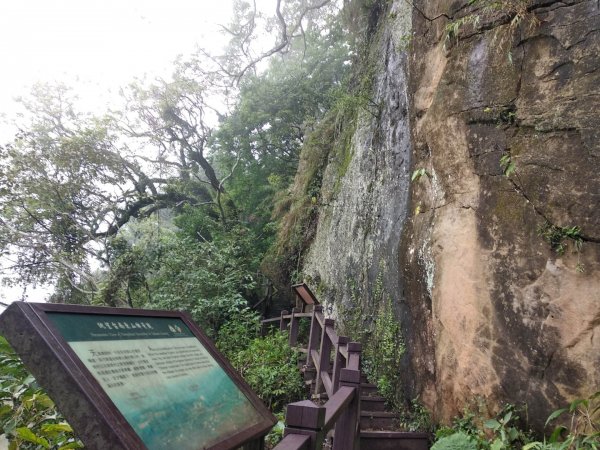 崁頭山步道1007154