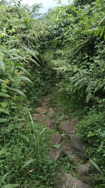 20251004 馬那邦山 - 珠湖 登山口2904795