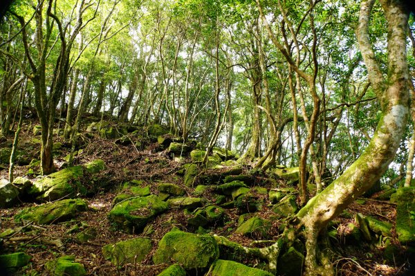 新竹 尖石 大混山、牛欄坑山、李崠山3058569