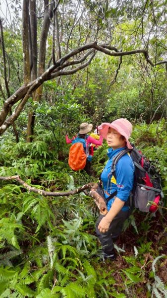 關西大東坑山/草長難過  順訪東安古橋2930524