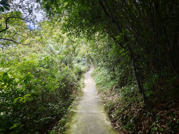 [淡蘭古道] 2026_0523 南路第一段_糶米古道3069486