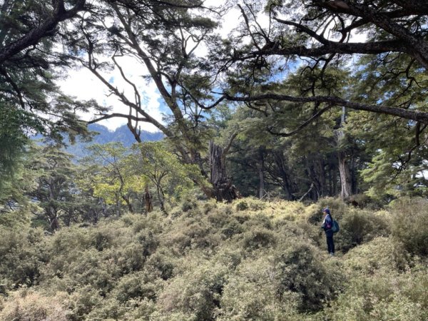 楠梓仙溪上南玉山1373080