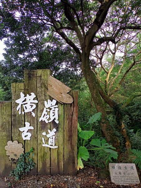 漫步陽明山前山公園→湖山綠地→橫嶺古道→湖山→半嶺步道1844823