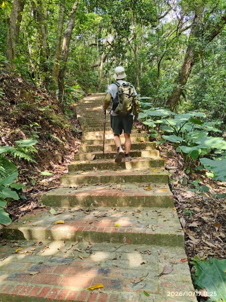 小百岳集起來十八尖山步道2026101711583136059