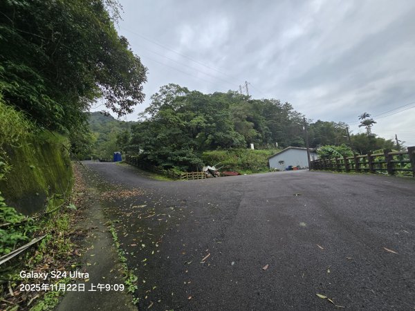 2025-11-22微笑山線：【五分山系】平溪小黃山段2943276