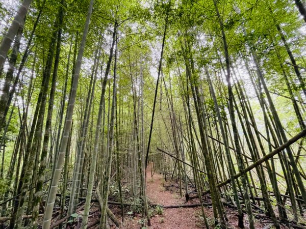 1120618後尖山。日月潭鐵馬風光2186701