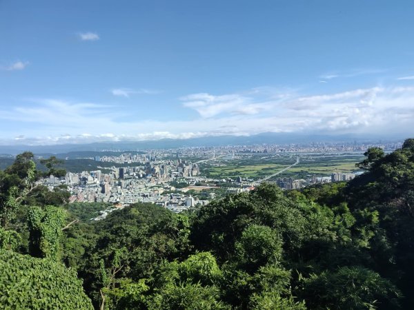 1121104貴子坑親山步道3099483