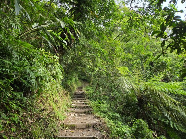 聖母登山步道（抹茶山）、三角崙山（小百岳）2774112