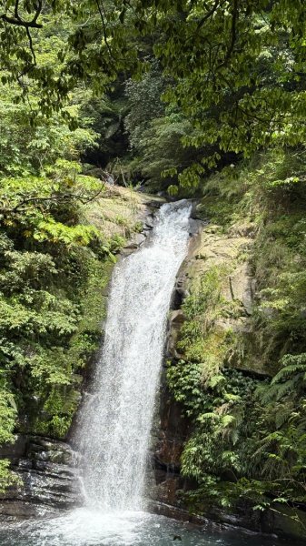 戲水（鴛鴦2786741