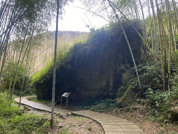 20250118阿里山頂湖步道2716416