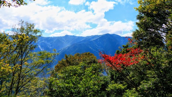 油羅山(一上三下)2959155