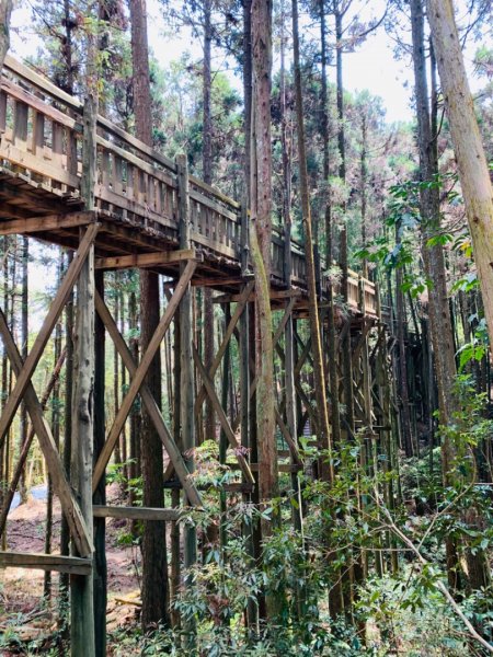 雲林古坑 石壁木馬古道933603