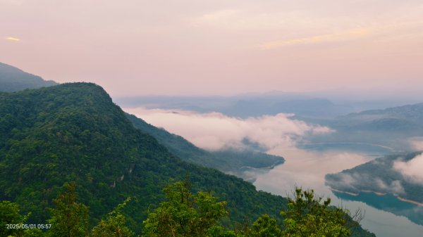 翡翠水庫壩頂 #火燒雲雲海 #日出雲海 #鱷魚島 #藍腹鷴 4/292773791