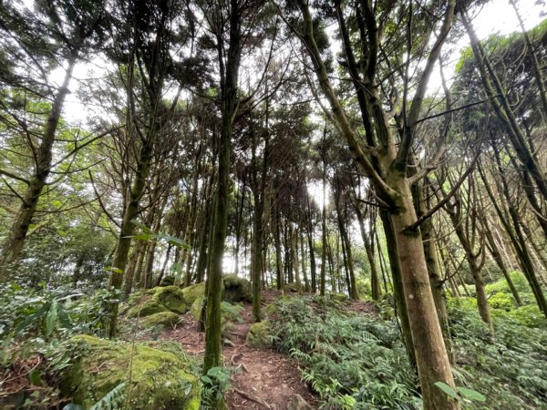 五指山登山步道2226356