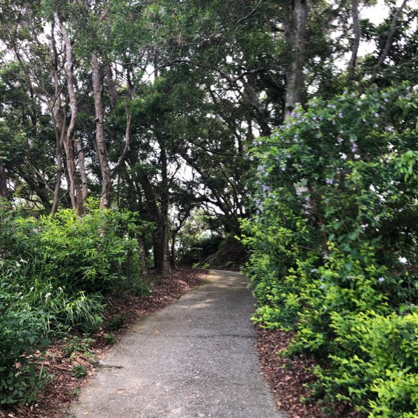 台灣小百岳No.043 三汀山1103349