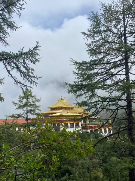 川藏33天深度之旅💙#稻城亞丁-來古冰川2901814