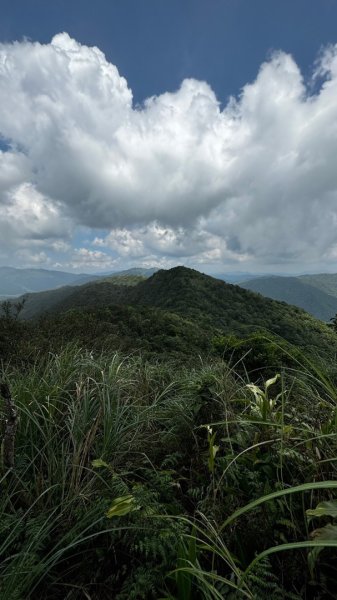 石龜山、叢雲山O走2592629