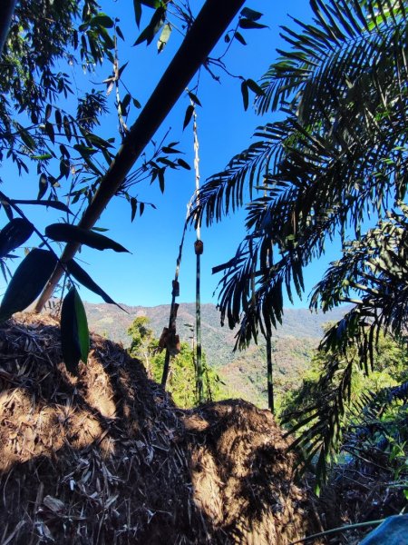 泰安鳥嘴山（上島）2689328