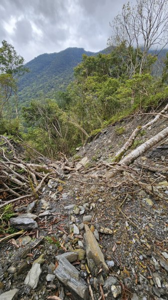 【美美兔走山趣】瓦拉米單攻27.2K-神人級路線。2773396