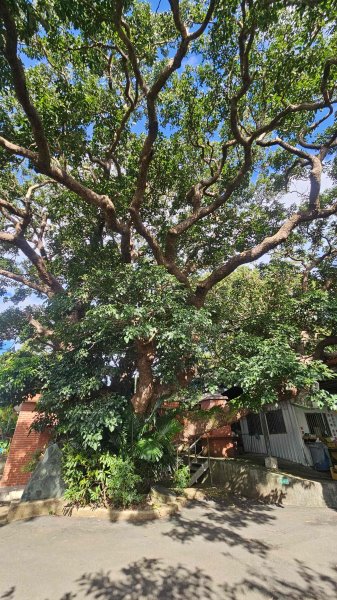 20250924法雨寺步道-鳳梨宅-第八公墓-詹氏宗祠-泉源國小宿舍-東昇路菜園-緣園農場2894214