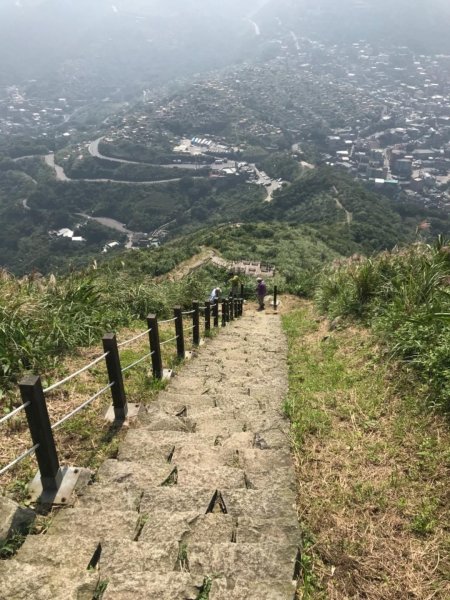 20181026_黃金一稜（基隆山）443679