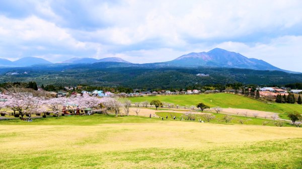 鹿兒島高千穗牧場3028183