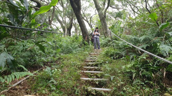 烘爐地文筆山造鎮1067433