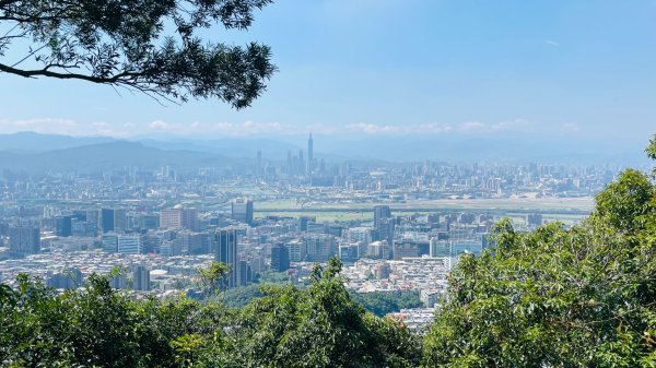 金面山親山步道2867838