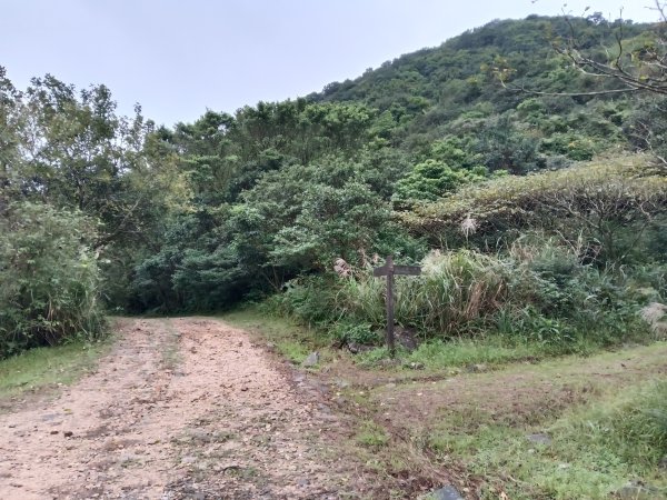 瑞芳區本山地質公園步道+草山公路+百二崁古道+樹梅坪古道O型2945506