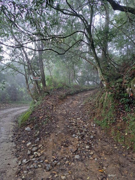 砂卡礑二日行D1：得卡倫步道→大禮部落→砂卡礑林道→立霧山→大同部落202312022368264