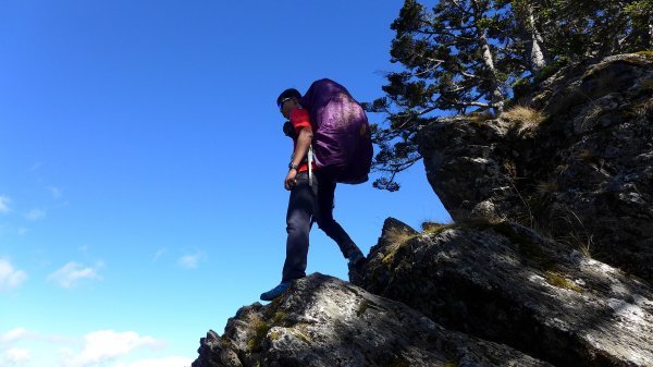 大好天氣的奇萊東稜488947