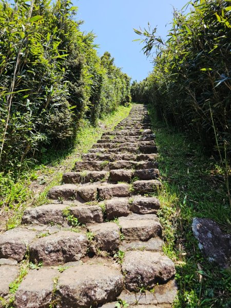 2026年臺北大縱走第二段：二子坪至小油坑3029493