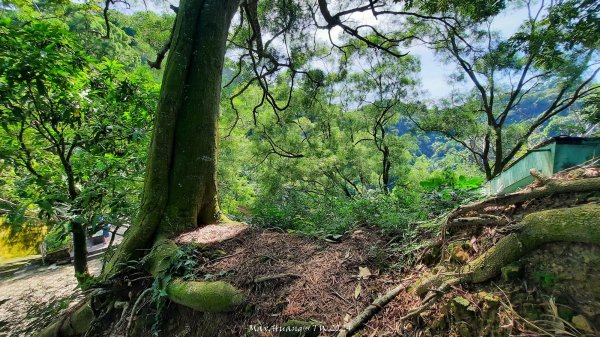 《台中》秋虎飆汗｜潭子新田登山步道上聚興山O繞202409152594077