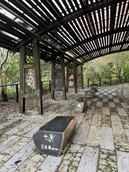 [嘉遊好步道．來嘉走走-04/10] 2024_1011 阿里山頂湖步道2624731