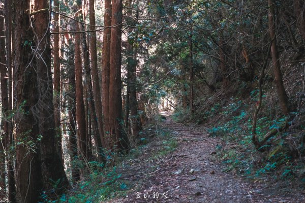 霞山鐵道野營2843068