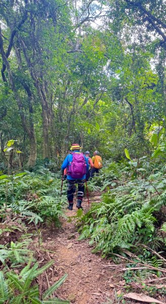 太元宮-關西玉山前-玉山/南柯山-東獅頭山-赤柯山南峰-赤柯山-太元宮 O繞2958085