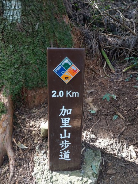 台版富士山「加里山」(小百岳#34) 2020/12/191424803