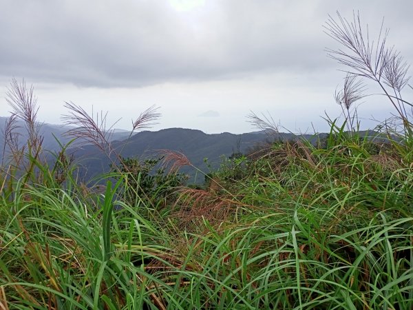 【小百岳集起來】三角崙山, 聖母登山步道1148135