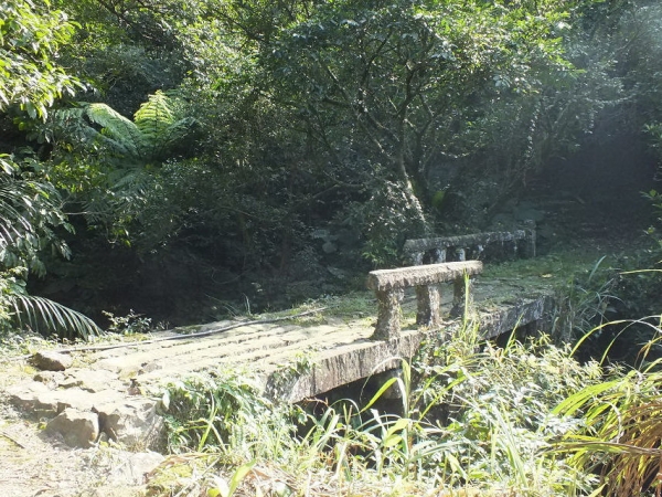 【路線】古橋步道