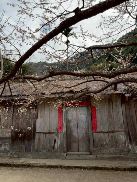 🌈1/17（六）蔡家古厝賞梅×梅子夢工廠×車埕老街✨FB：熊熊趴爬走🌈2983925