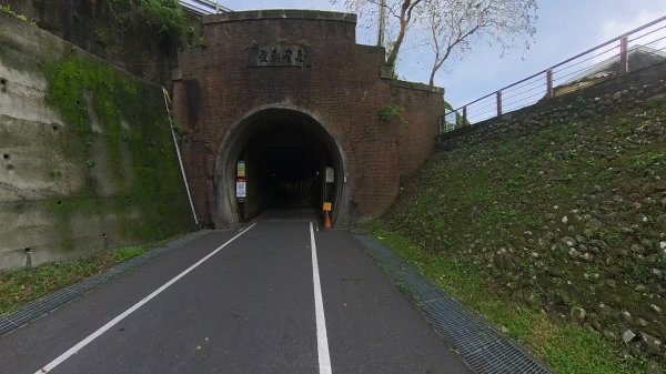 20251115_草嶺古道追芒趣2942953