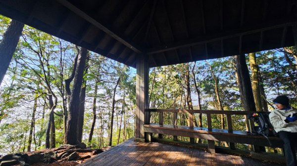 20250209橫沙笛鳶嘴醜肥大西稜O型2709373