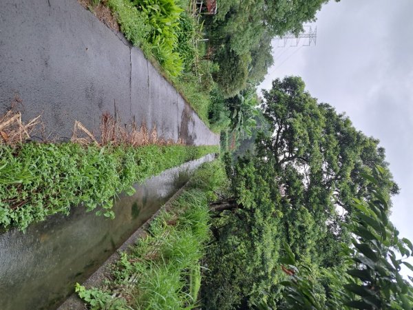 2026樟之細道：清水坑古道-伙房崎古道-大牛崎古道3111857