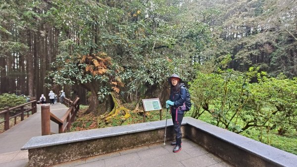 神阿縱走~台灣難抵極~大塔山2971517