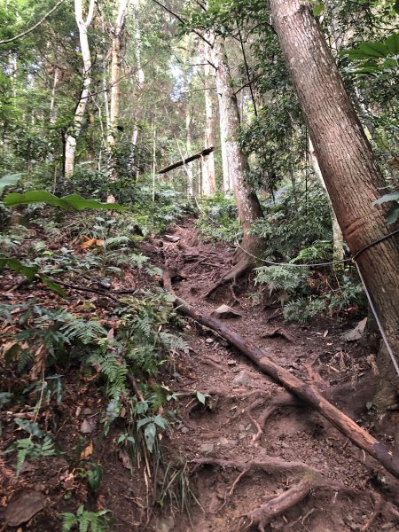 2020/09/13高島縱走P繞1101687