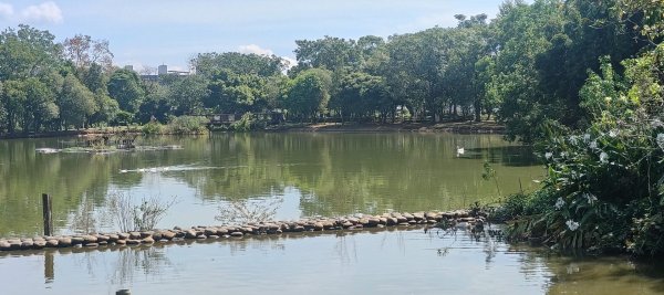 八德埤塘生態公園2890763
