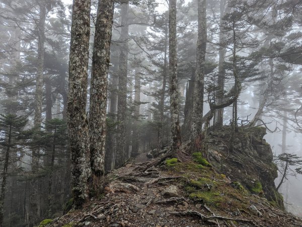 玉山西峰及山神廟、玉山主峰賞日出1838139