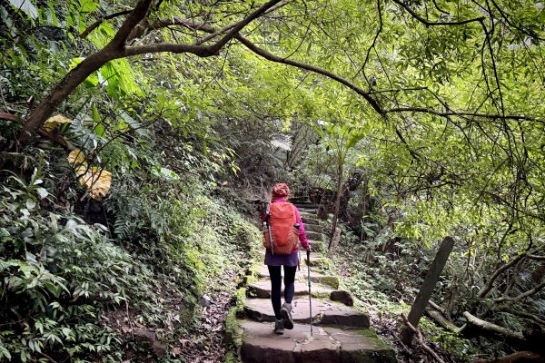 南港山.象山.四獸山-202503172770537