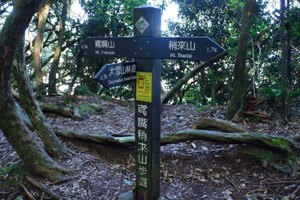 台中 和平 鳶嘴山2926894