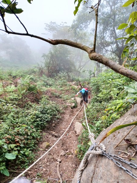 【台南白河】雞籠山+九龍山+大凍山O繞縱走2797143